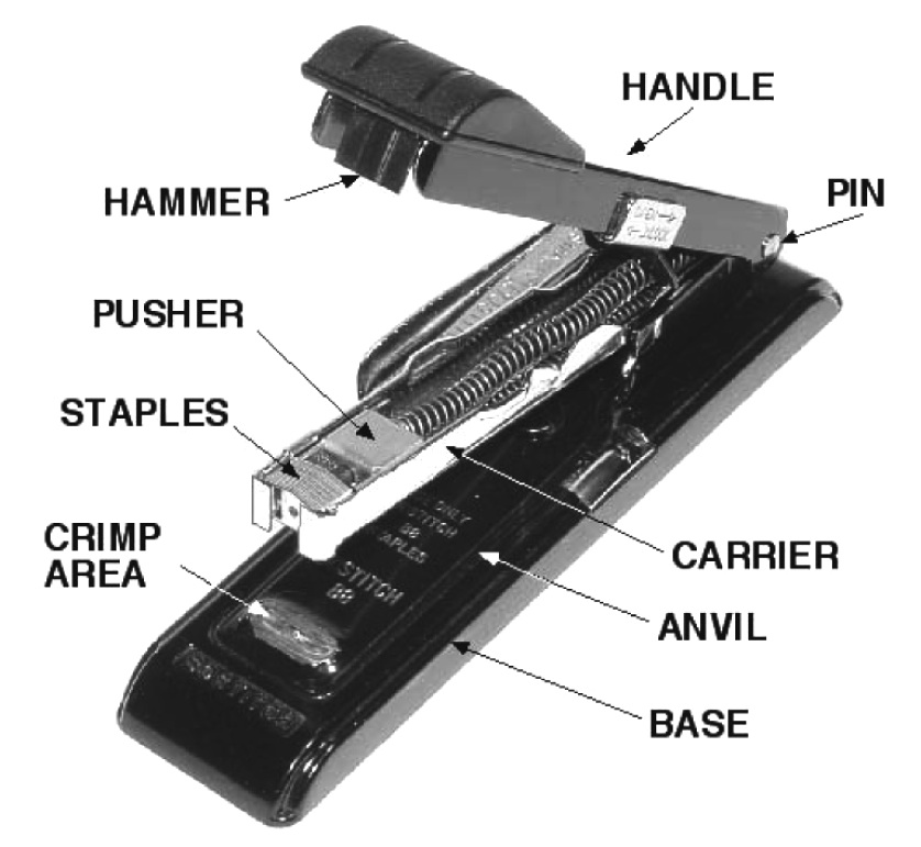 inside of a stapler